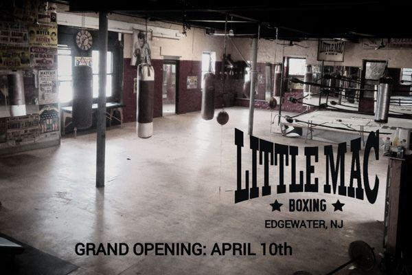 Little Mac Boxing Gym