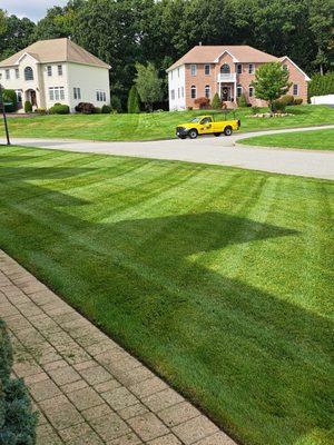 All around landscaping  services.  Weekly and bi weekly lawn cuts.Hrdge trimming,mulch spreading,gutter cleaning, power washing and more