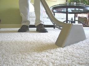 carpet cleaning miami beach