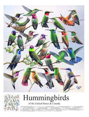 One of Ed's specialties is painted natural history posters in 14 x 18 and 8 x 10 sizes. This is Hummingbirds of the US.