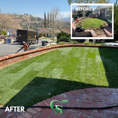 Before and after yard transformation