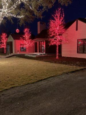 Red trees