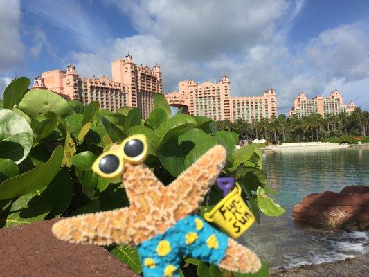 Atlantis Paradise Island