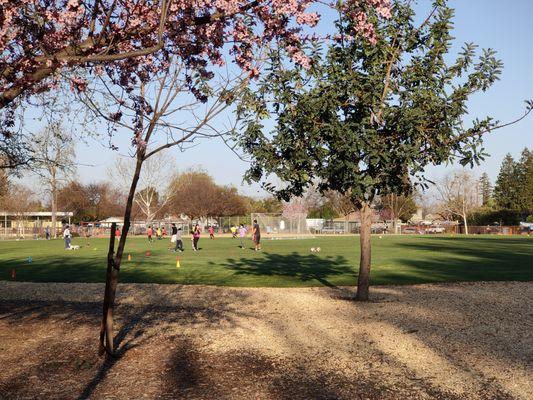 El Quito Park