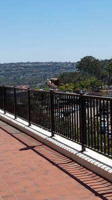 La Jolla Granite mascot, the beautiful western osprey