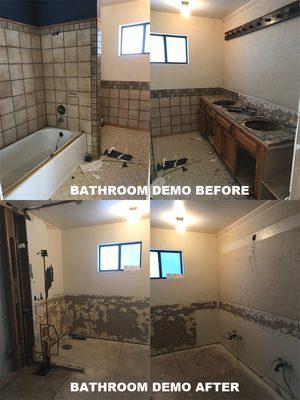 Bathroom Demo