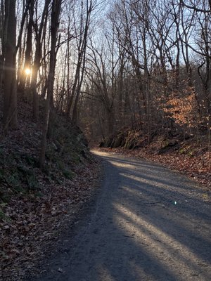 Hibernia Park Trail