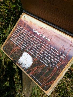 Fun fact: There are fun fact boards along the trail.