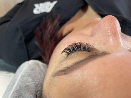 Soft volume lashes