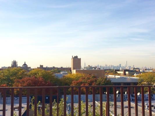 Bushwick: large 3 bedroom. Newly renovated, Laundry in building, video intercom. Rooftop access.