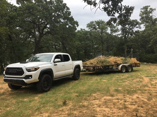 Cleaning up a large property. Hauling away brush with the Stormtrooper.