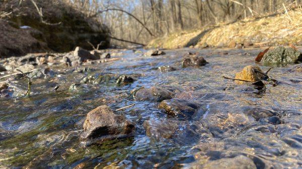 Pic from the Sleepy Hollow Trail