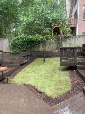 Completely change the landscape with sod and mulch