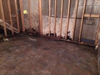 Don't live like this! Chesapeake Mold can help.