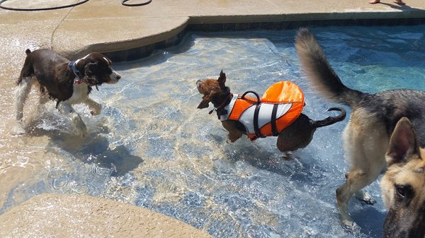 Douglas getting his swimming test!