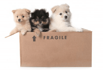 Packing and unpacking services