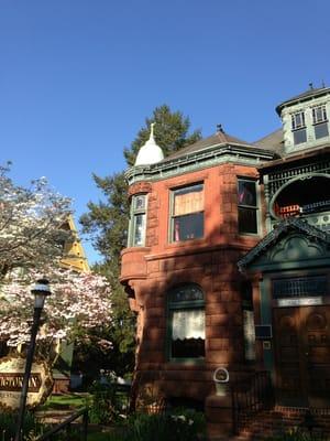 Brownstone in sunlight.