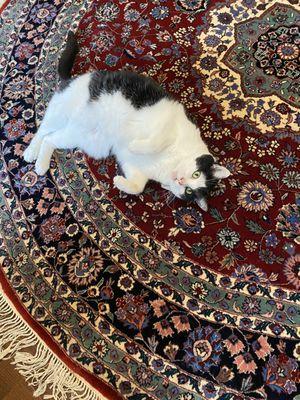 A round vintage handwoven rug from The Persian Knot Gallery at a customer's home