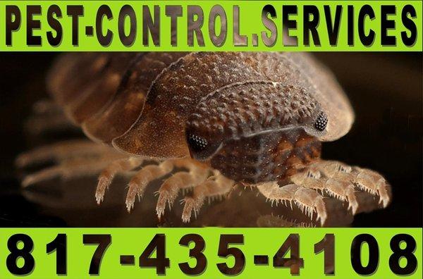 Pest Control Services