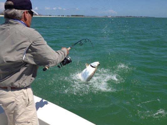 Jumping tarpon!