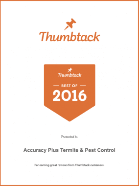 Best of 2016 Award with Thumbtack for Exceptional Service and Multiple "Verified" 5 Star reviews.