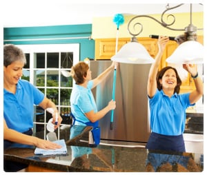 Rent Me Today LLC Ceiling fan cleaning