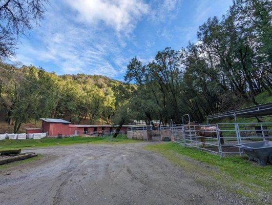 Marin Stables