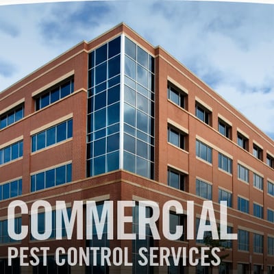 Rockland County Commercial Pest Control