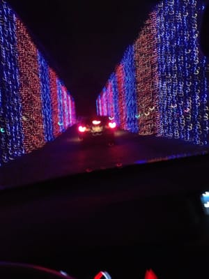 Christmas lights show!