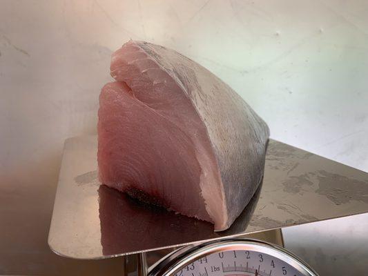 Tombo (albacore) tuna