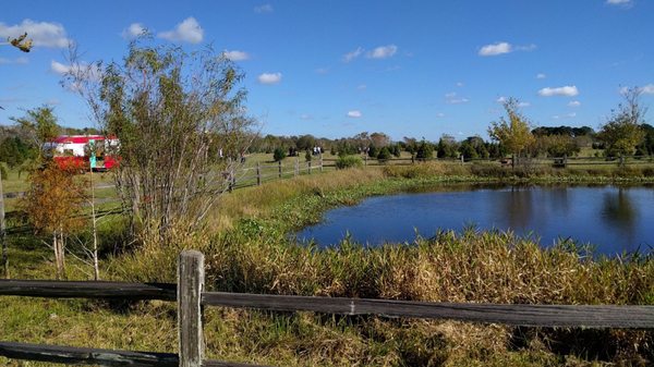 I call this the North Pond, and the Claus's Christmas Trailer.