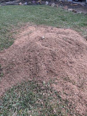 Pearland Now it's mulch for flower beds.