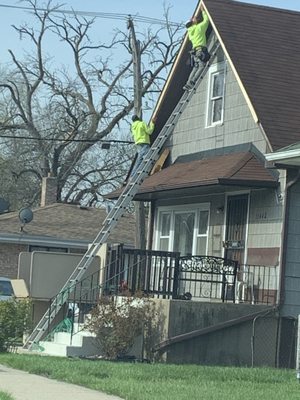 A glimpse into the Midwest Waterproofing and Roofing team at work - where each member contributes their skills to achieve perfection