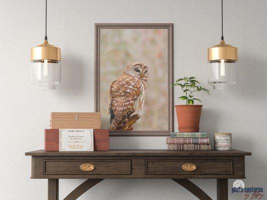 Example of Owl framed print hanging above desk.