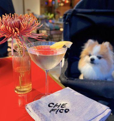 Vesper Martini | $18 (dog-friendly patio!)