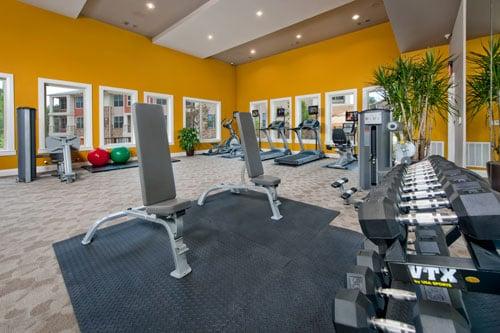 Five East Apartments in Atlanta - Fitness Center w Personal Trainers Available