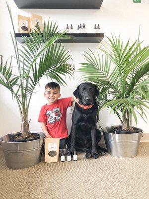 CBD dog treats and tinctures