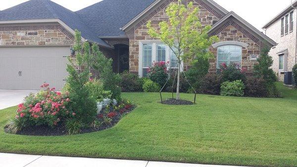 Arlington Lawn Mowing