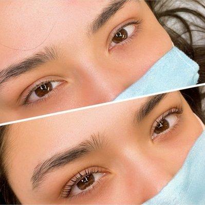 LASH LIFT