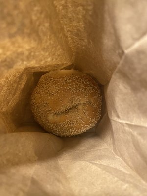 Sesame bagel