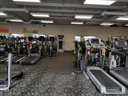 The best selection of home treadmills and ellipticals!