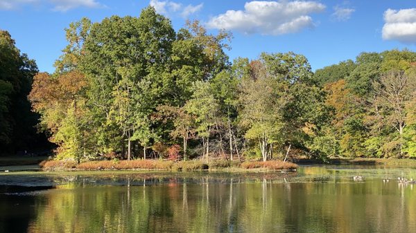 Small island inside the lake