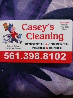 Casey's cleaning services