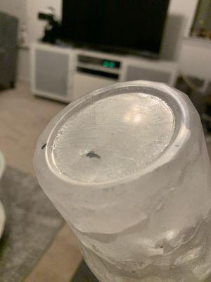 MOLD INSIDE MY CUP IN THE ICE