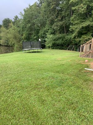 Freshly cut lawn