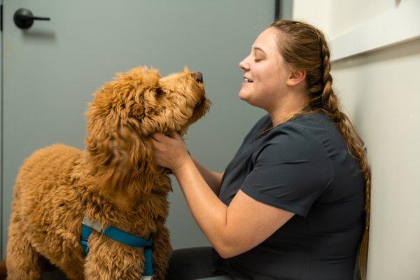 Our Vet tech loving on this adorable fur baby!