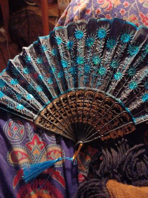 Beautiful Fan