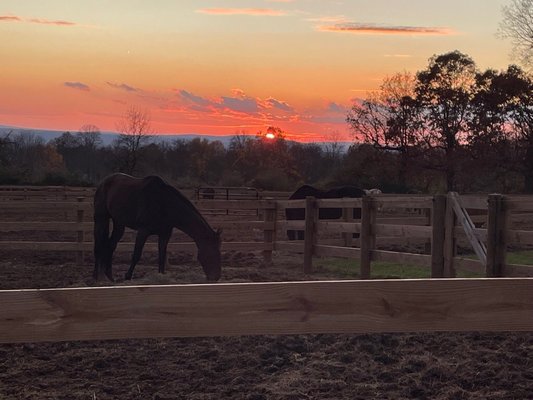 Sunset at Whispering Lake Equestrian