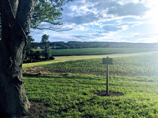 One of the many beautiful views from the upper loop near sunset.