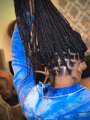 Knotless Box Braids *Waist Length* 
(Back View)